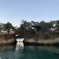 実際訪問したユーザーが直接撮影して投稿した松島公園松島海岸中央広場の写真