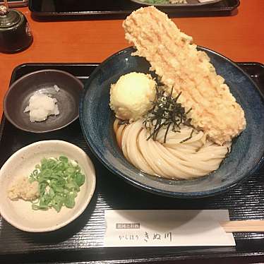 実際訪問したユーザーが直接撮影して投稿した谷町うどん饂飩とお酒 からほり きぬ川の写真