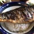 とろ鯖定食 - 実際訪問したユーザーが直接撮影して投稿した加治屋町魚介 / 海鮮料理ぶえんもゆかりの写真のメニュー情報