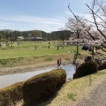 実際訪問したユーザーが直接撮影して投稿した精華台公園けいはんな記念公園の写真