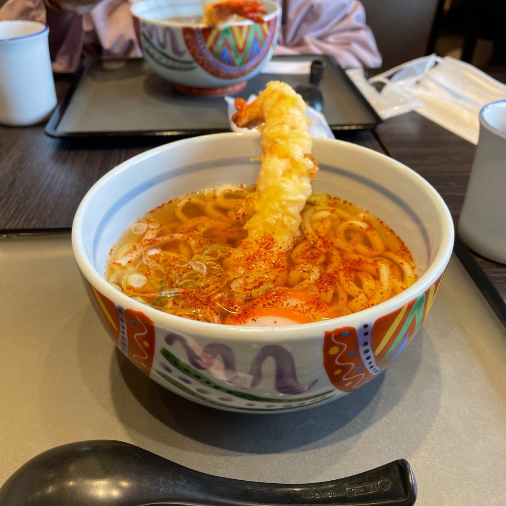 ユーザーが投稿した天ぷらうどん(大えび)の写真 - 実際訪問したユーザーが直接撮影して投稿した向山町うどん若鯱家 アピタ豊橋向山店の写真