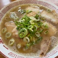 実際訪問したユーザーが直接撮影して投稿した松島ラーメン / つけ麺一楽ラーメン 松島店の写真