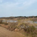 実際訪問したユーザーが直接撮影して投稿した河川庄内川の写真