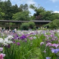 実際訪問したユーザーが直接撮影して投稿した平賀寺本土寺の写真