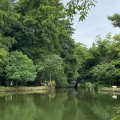 実際訪問したユーザーが直接撮影して投稿した石神井町湖沼 / 池石神井池の写真