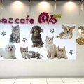 実際訪問したユーザーが直接撮影して投稿したりんくう町カフェpuppy cafe Rio 常滑店の写真