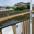 実際訪問したユーザーが直接撮影して投稿した河川野川の写真