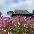 実際訪問したユーザーが直接撮影して投稿した般若寺町寺法性山 般若寺の写真