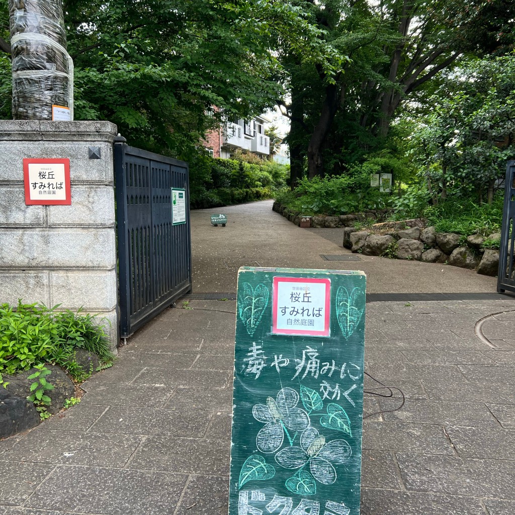 実際訪問したユーザーが直接撮影して投稿した桜丘公園桜丘すみれば自然庭園の写真