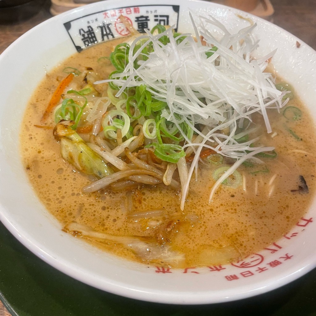 ユーザーが投稿した野菜ラーメンの写真 - 実際訪問したユーザーが直接撮影して投稿した旭ケ丘ラーメン専門店河童ラーメン本舗 香芝店の写真