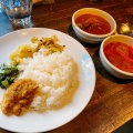 カレー2種 - 実際訪問したユーザーが直接撮影して投稿した文花カレースパイスカフェの写真のメニュー情報