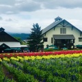 実際訪問したユーザーが直接撮影して投稿した西5線北植物園 / 樹木園フラワーランドかみふらのの写真