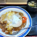 カレーカツ丼 - 実際訪問したユーザーが直接撮影して投稿した津田沼そば名代 富士そば 津田沼店の写真のメニュー情報