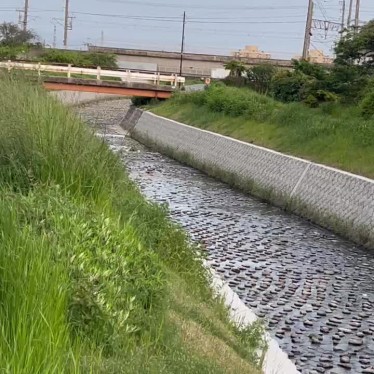 実際訪問したユーザーが直接撮影して投稿した河川天神川の写真