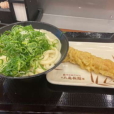 実際訪問したユーザーが直接撮影して投稿したみなとみらいうどん丸亀製麺 横浜アイマークプレイス店の写真