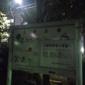 実際訪問したユーザーが直接撮影して投稿した亀戸公園文泉公園の写真