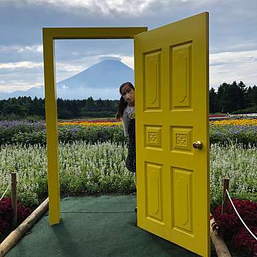 富士芝桜まつりのundefinedに実際訪問訪問したユーザーunknownさんが新しく投稿した新着口コミの写真