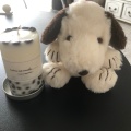 実際訪問したユーザーが直接撮影して投稿した軽井沢生活雑貨 / 文房具SNOOPY Village 軽井沢店の写真