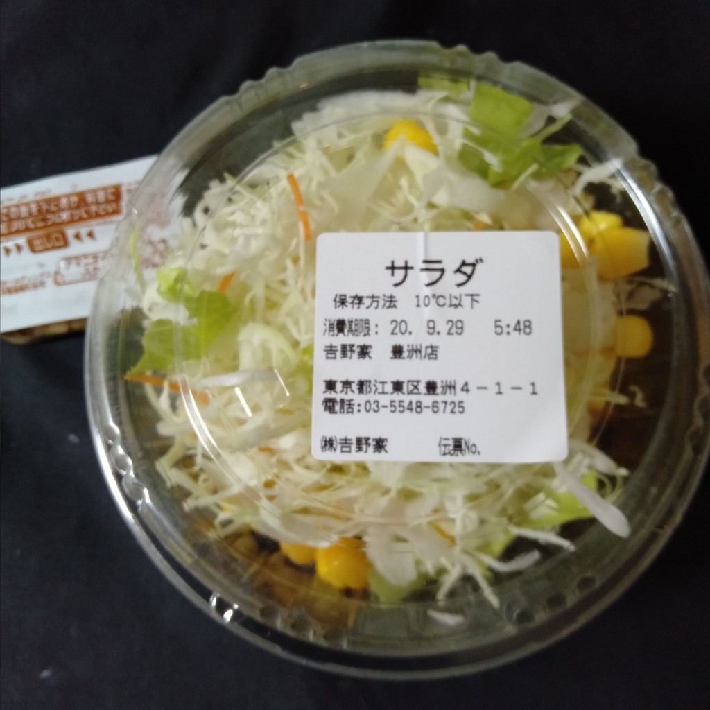 ユーザーが投稿した生野菜サラダの写真 - 実際訪問したユーザーが直接撮影して投稿した豊洲牛丼吉野家 豊洲店の写真