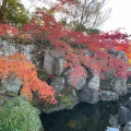 実際訪問したユーザーが直接撮影して投稿した三波川公園桜山公園の写真