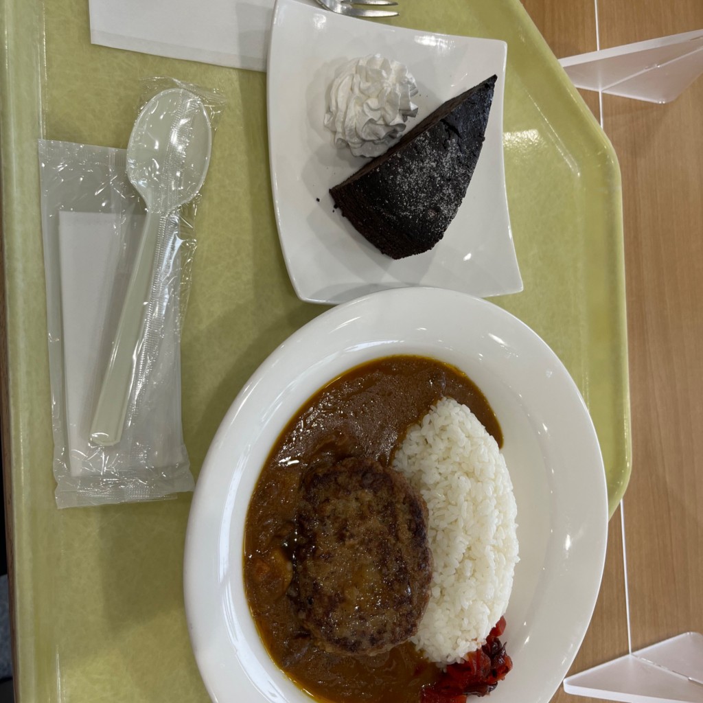 ユーザーが投稿したハンバーグカレーの写真 - 実際訪問したユーザーが直接撮影して投稿した小園その他飲食店ウォーターミルの写真