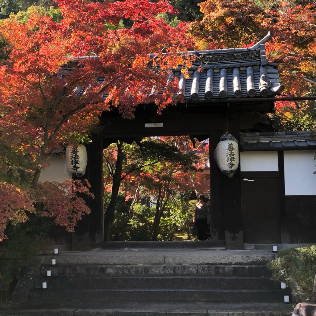 ははみんさんが投稿した八幡馬場寺のお店善法律寺/ゼンポウリツジの写真