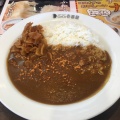 ポークカレー - 実際訪問したユーザーが直接撮影して投稿した徳吉西カレーカレーハウスCoCo壱番屋 小倉南インター店の写真のメニュー情報