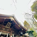 実際訪問したユーザーが直接撮影して投稿した愛宕神社愛宕神社の写真