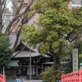 実際訪問したユーザーが直接撮影して投稿した北品川神社荏原神社の写真