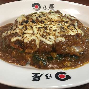 日乃屋カレー 東池袋店のundefinedに実際訪問訪問したユーザーunknownさんが新しく投稿した新着口コミの写真