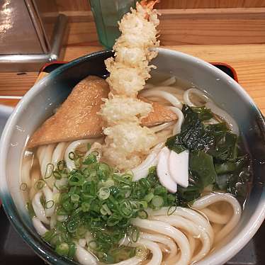 実際訪問したユーザーが直接撮影して投稿した川之江町うどん麺食酒房 大真うどんの写真