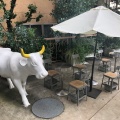 実際訪問したユーザーが直接撮影して投稿した神山町チーズ料理渋谷 CHEESE STANDの写真