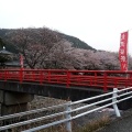 実際訪問したユーザーが直接撮影して投稿した大島公園相模川自然の村公園の写真