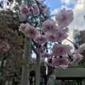 実際訪問したユーザーが直接撮影して投稿した南二条東神社北海道神宮 頓宮の写真