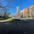 実際訪問したユーザーが直接撮影して投稿した大通西公園プレイスロープの写真