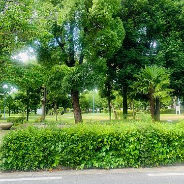 実際訪問したユーザーが直接撮影して投稿した生江公園城北公園の写真