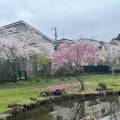 実際訪問したユーザーが直接撮影して投稿したおゆみ野中央公園大百池公園の写真