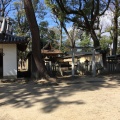 実際訪問したユーザーが直接撮影して投稿した宮ノ前神社猪名野神社の写真