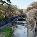 実際訪問したユーザーが直接撮影して投稿した宮西町公園夙川河川敷緑地の写真