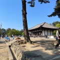 実際訪問したユーザーが直接撮影して投稿した登大路町寺興福寺の写真