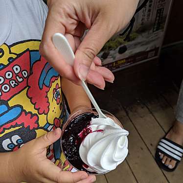 実際訪問したユーザーが直接撮影して投稿した開田高原末川アイスクリーム開田高原アイスクリーム工房の写真
