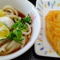 実際訪問したユーザーが直接撮影して投稿した南昭和町うどん麺屋 はち芳の写真