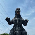 実際訪問したユーザーが直接撮影して投稿した神明町公園くりはま花の国の写真