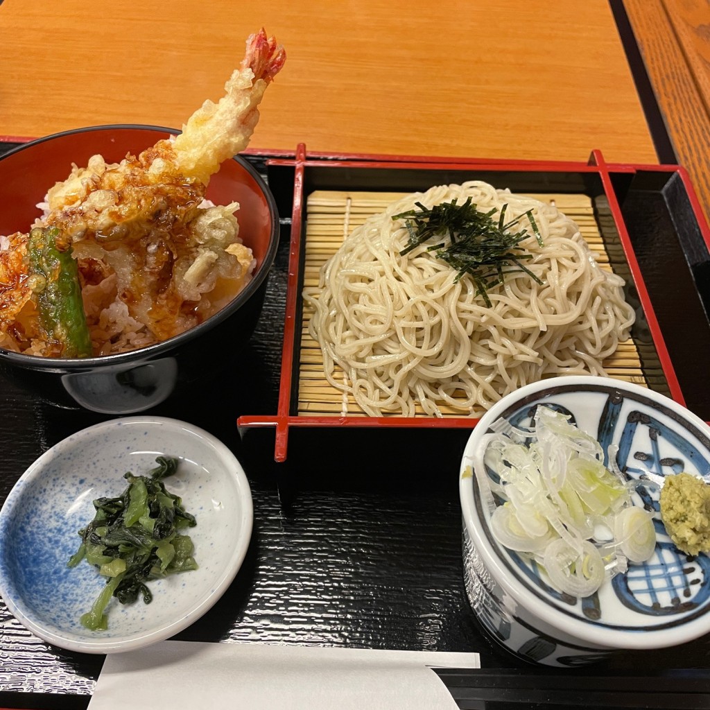 ユーザーが投稿したざる蕎麦小天丼の写真 - 実際訪問したユーザーが直接撮影して投稿した本郷町善入寺うどん菜の里の写真