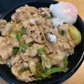 すた丼 - 実際訪問したユーザーが直接撮影して投稿した大森北丼もの伝説のすた丼屋 大森東口店 [持ち帰り専門]の写真のメニュー情報