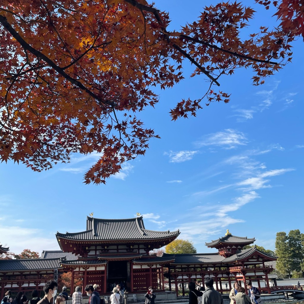 ねこたろさんが投稿した宇治寺のお店平等院/ビョウドウインの写真