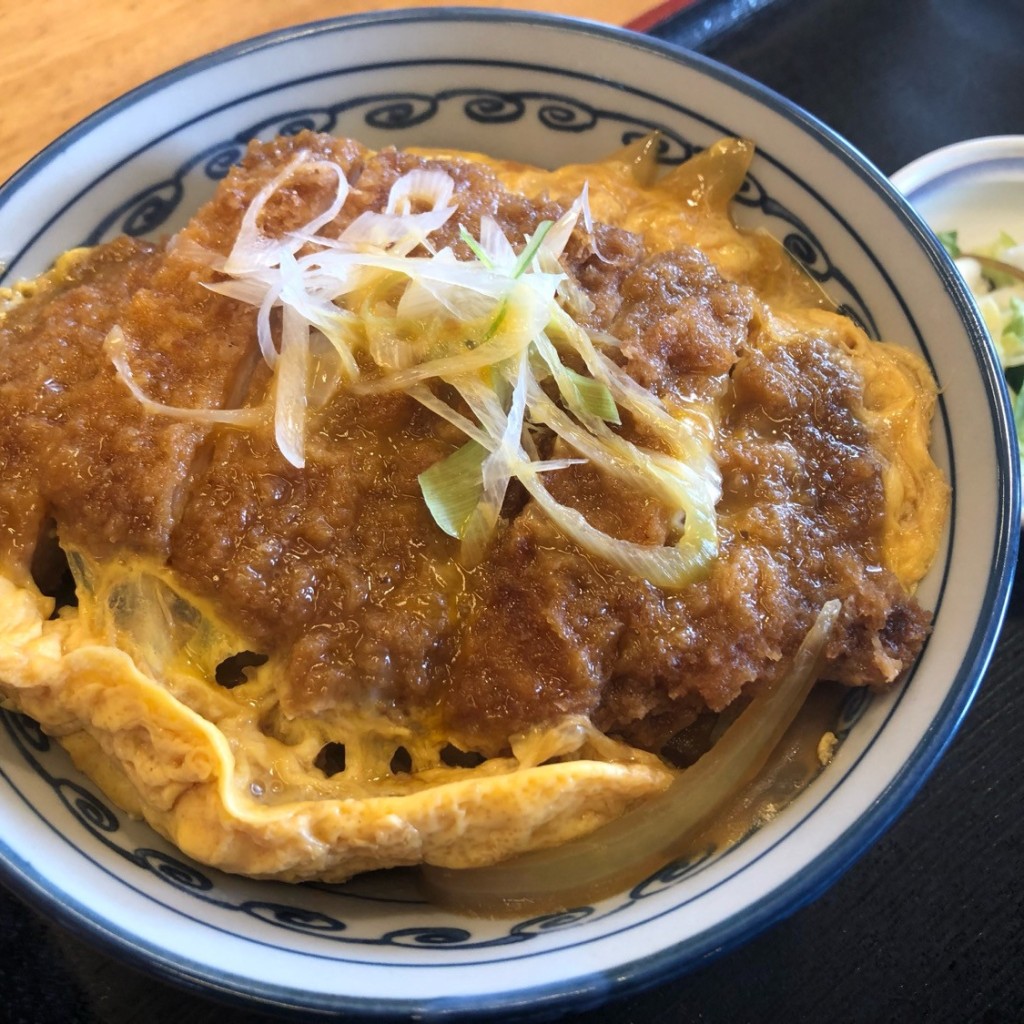 ユーザーが投稿したカツ丼の写真 - 実際訪問したユーザーが直接撮影して投稿した田中町定食屋すしべん 金沢東インター店の写真