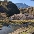 実際訪問したユーザーが直接撮影して投稿した上松滝 / 渓谷寝覚の床の写真