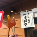 実際訪問したユーザーが直接撮影して投稿した元町和カフェ / 甘味処宇田川やの写真