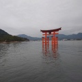 実際訪問したユーザーが直接撮影して投稿した宮島町神社嚴島神社 参拝入口の写真